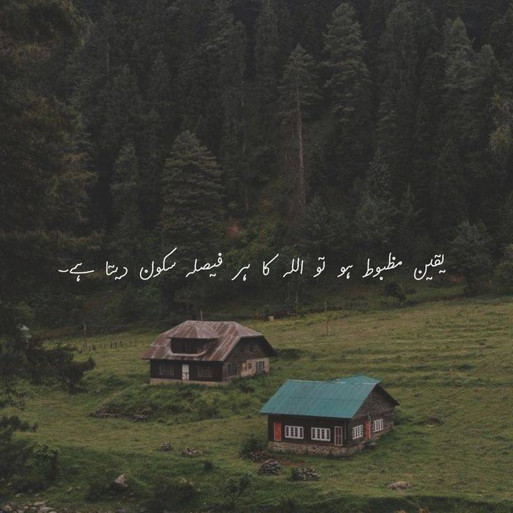Mian Rasheed