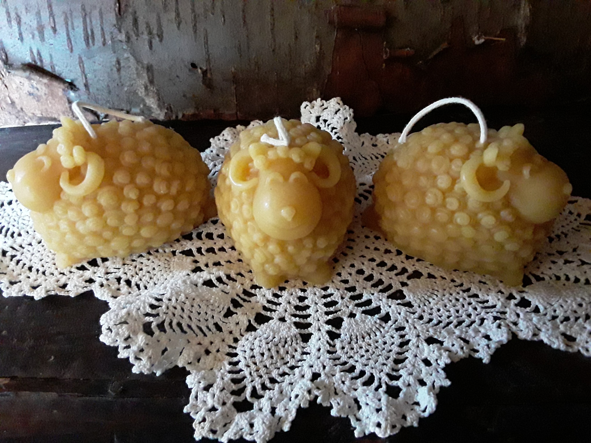 Thimble Reed