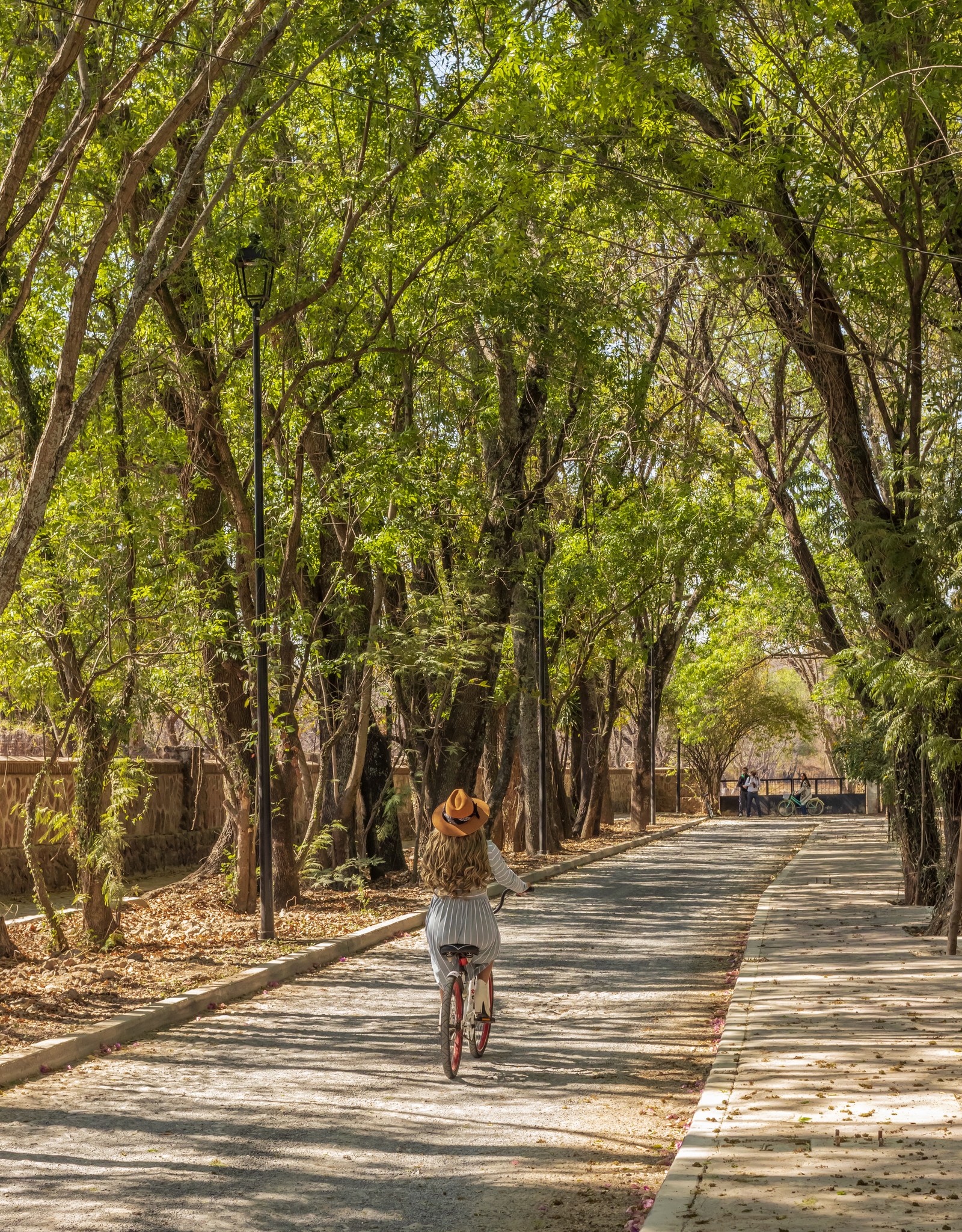 Dirección de Turismo de Purísima del Rincón, Guanajuato.