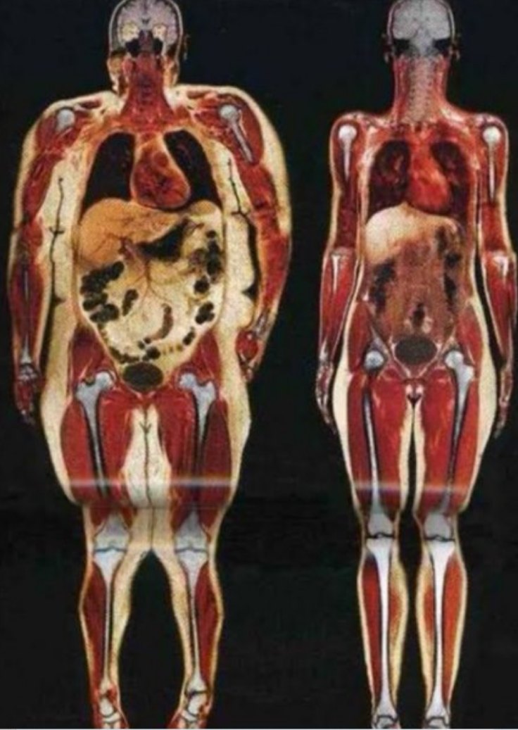 Ancient - Through the lens of medical imaging, the human body tells a ...