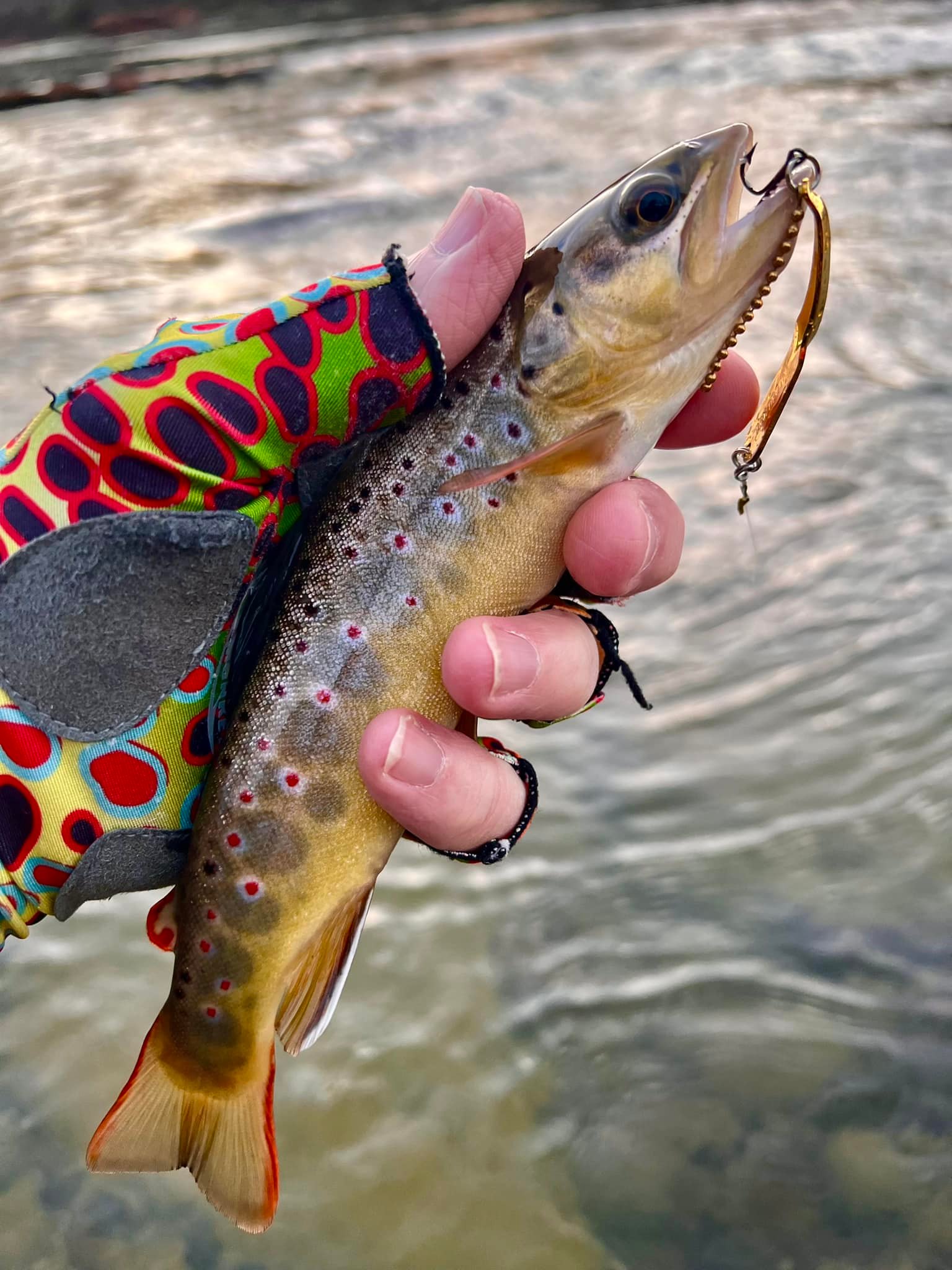 best fly reels for 4 weight trout Bozeman FlyWorks The Patriot Reel w/Fly Line 3/4wt & 5/6wt Size:4 oz (A37) Vintage Pflueger Captain Reels The line and backing 2023 Fathers Day