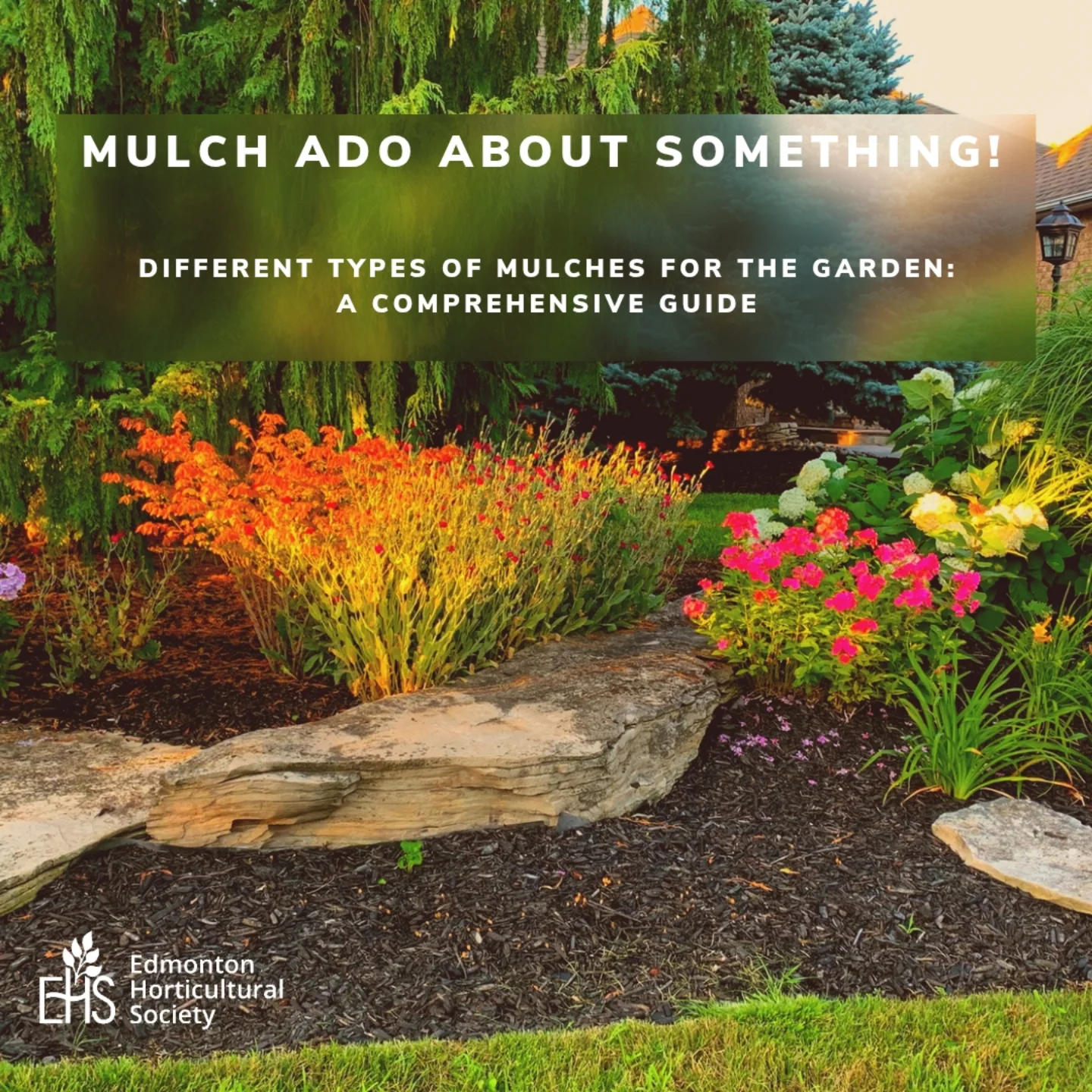 Edmonton - 🌱 Mulch Ado About Something is the latest from EHS — your ...