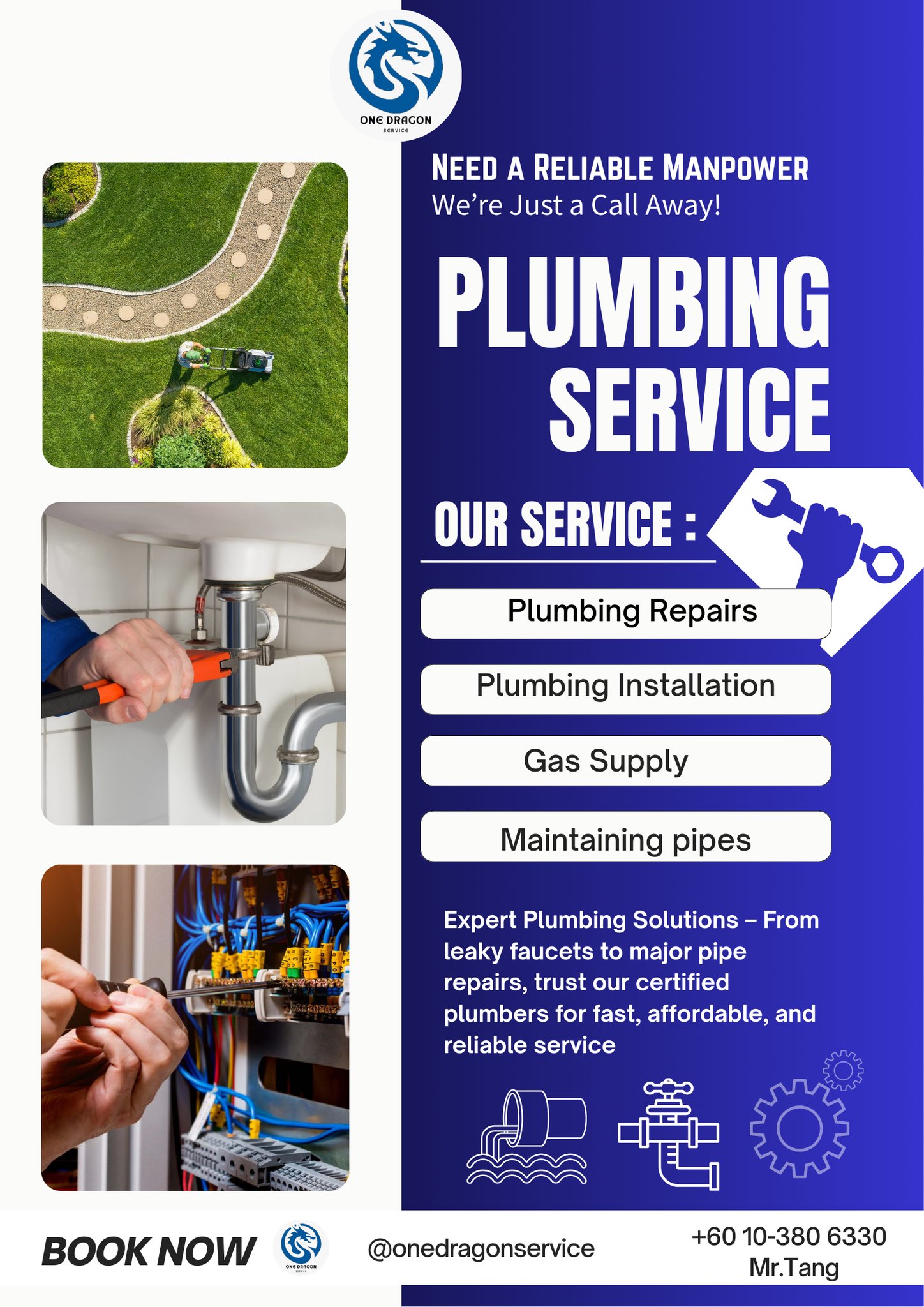One Dragon Service | Miri