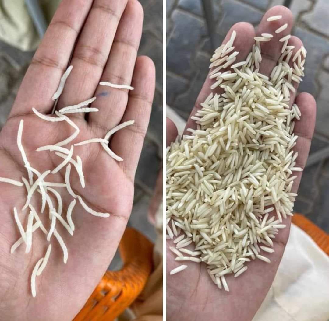 Pakistan Rice Traders | Islamabad