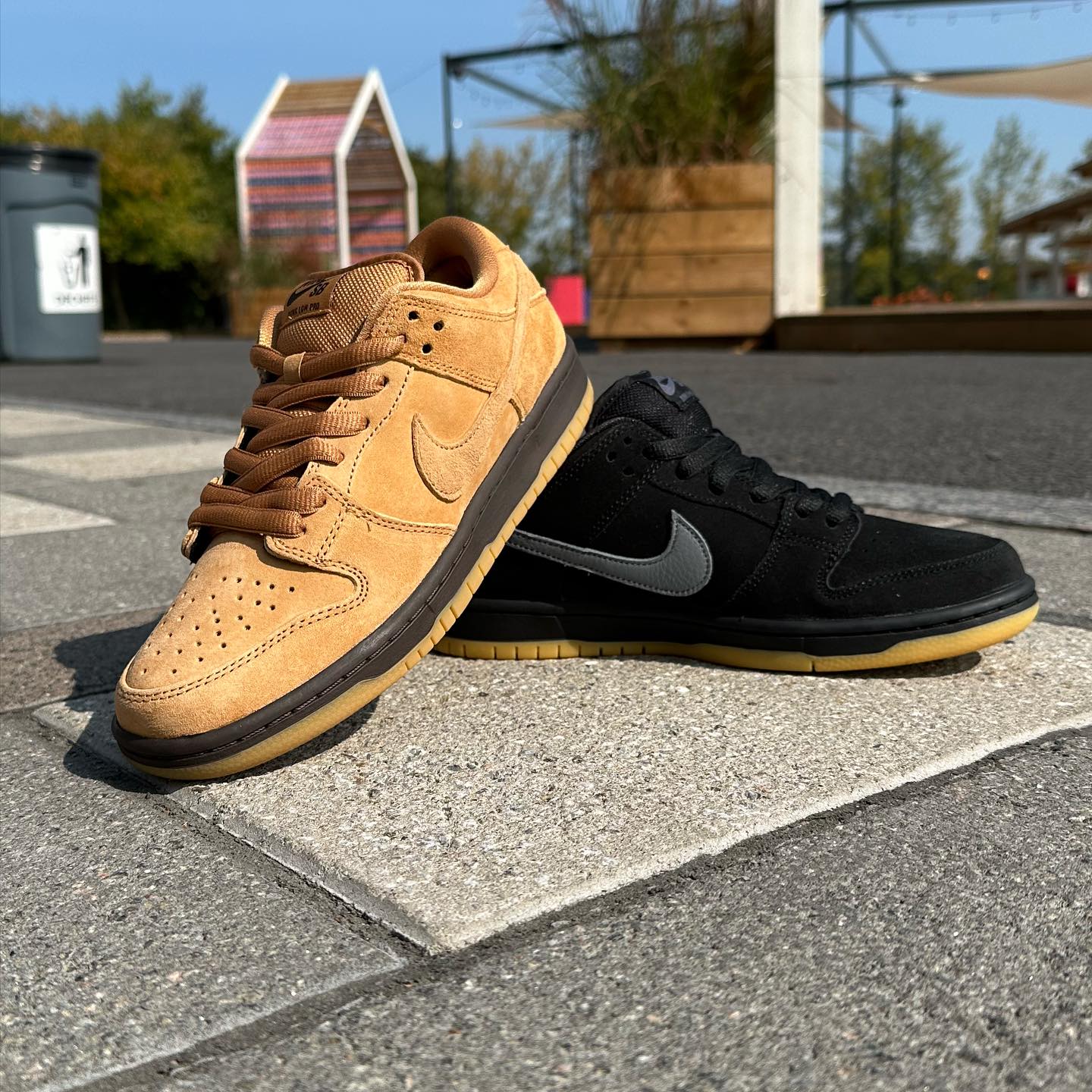 Nike Sb Men