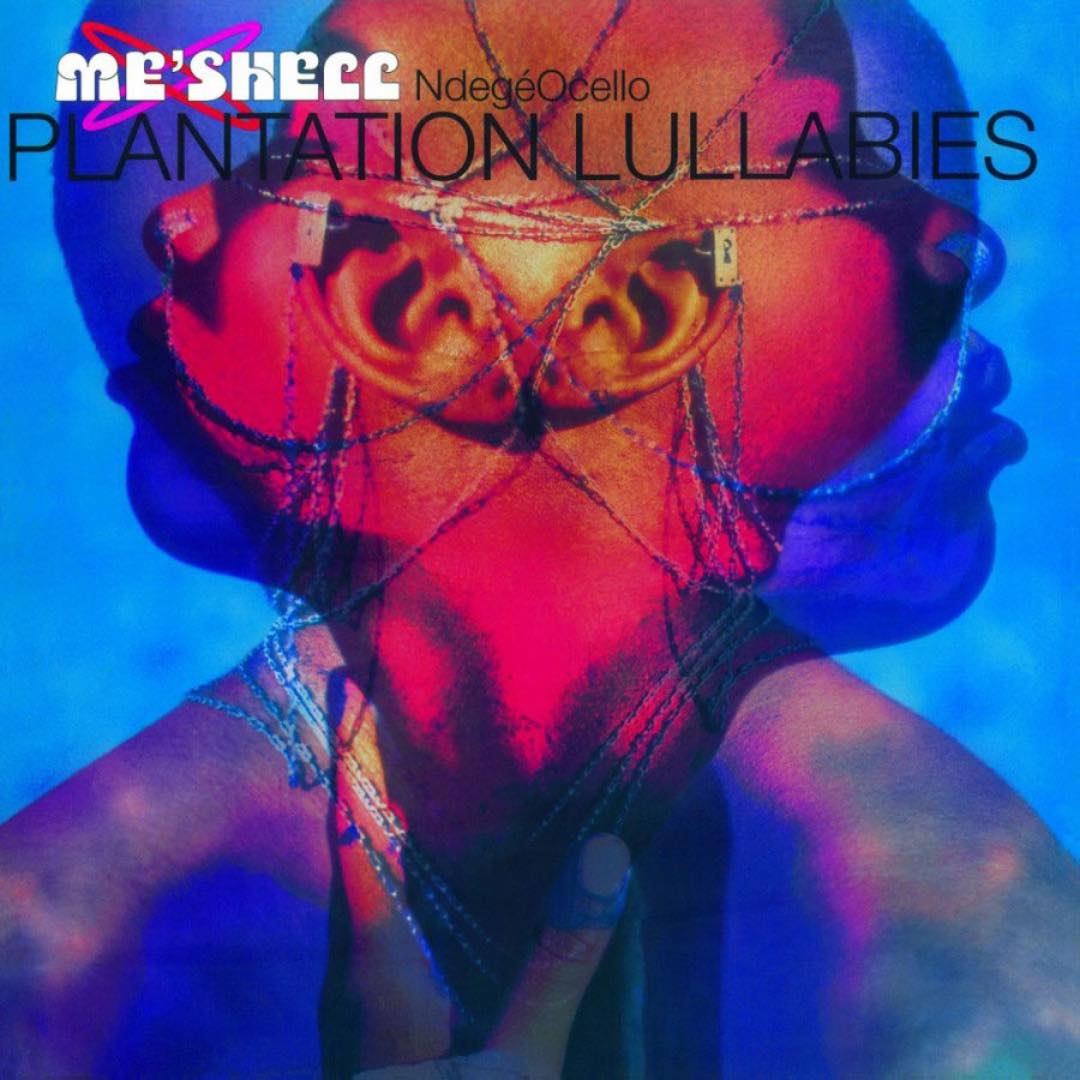 Album 'Plantation Lullabies' released on October 19, 1993