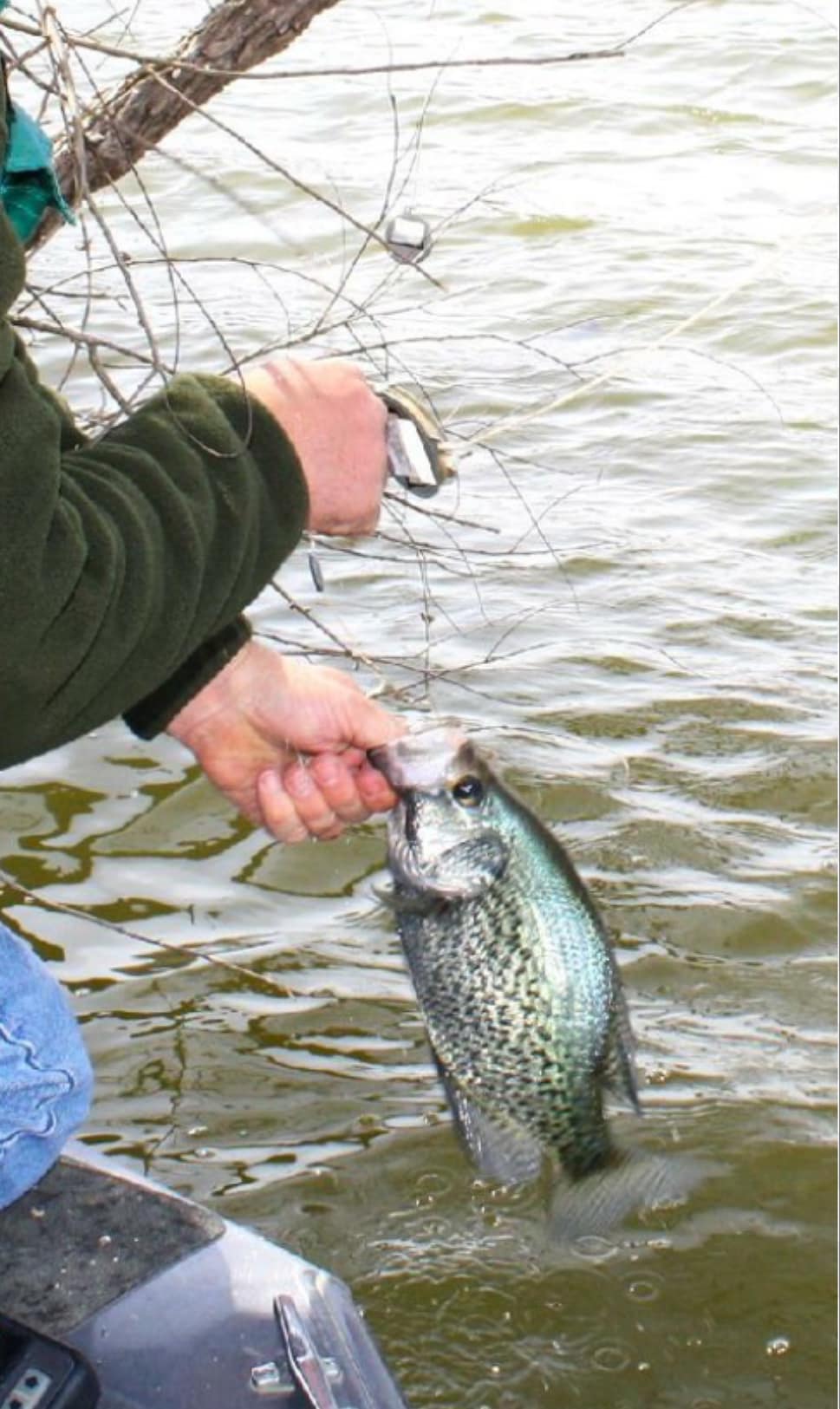creek fishing lures Lanier Drifter Series Select:3000 brass Gear Review: The New The Striper Strike is