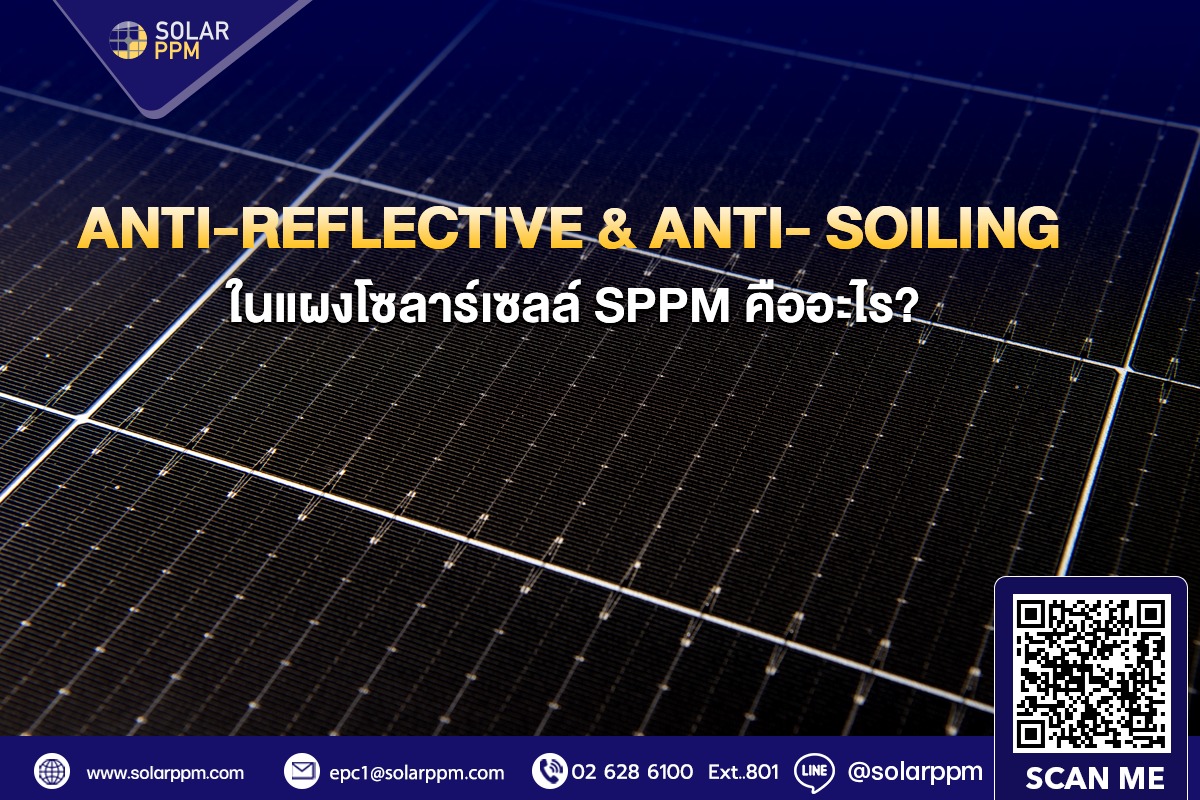 แผงโซลาร์เซลล... - Solar PPM - ผู้นำด้านระบบไฟฟ้าจากแสงอาทิตย์ | Facebook