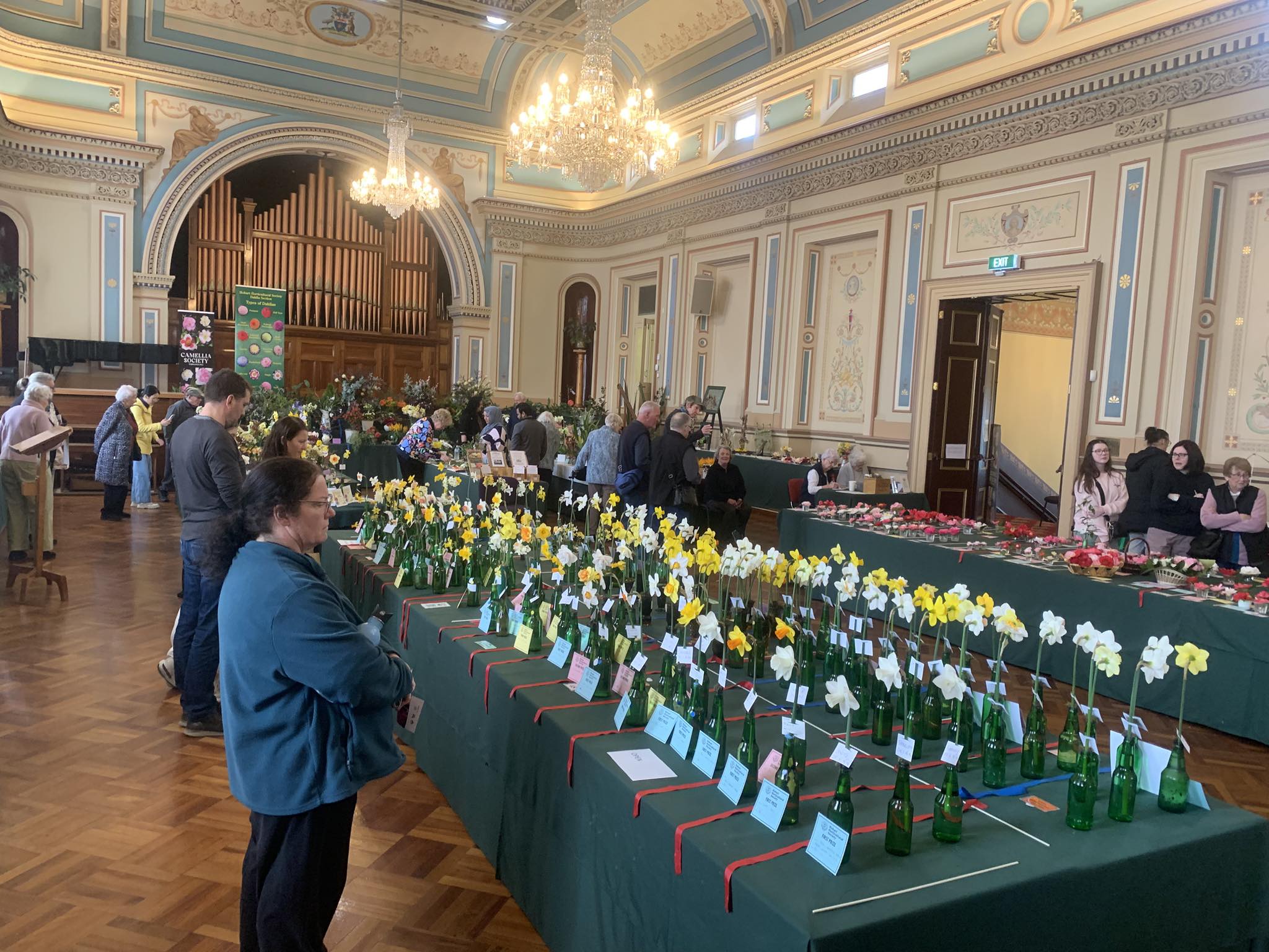 Hobart Horticultural Society | Day Two and final day of the Early ...