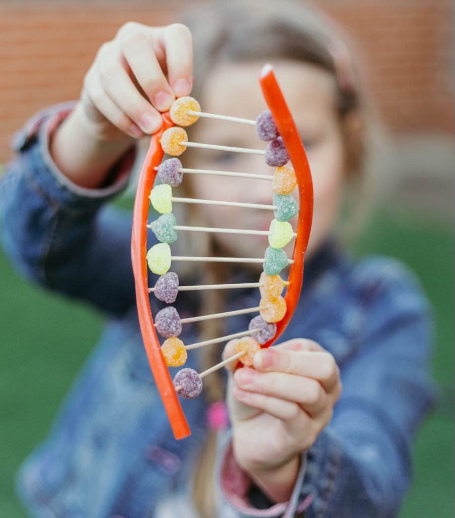 Science Sparks - This edible DNA model looks great and...