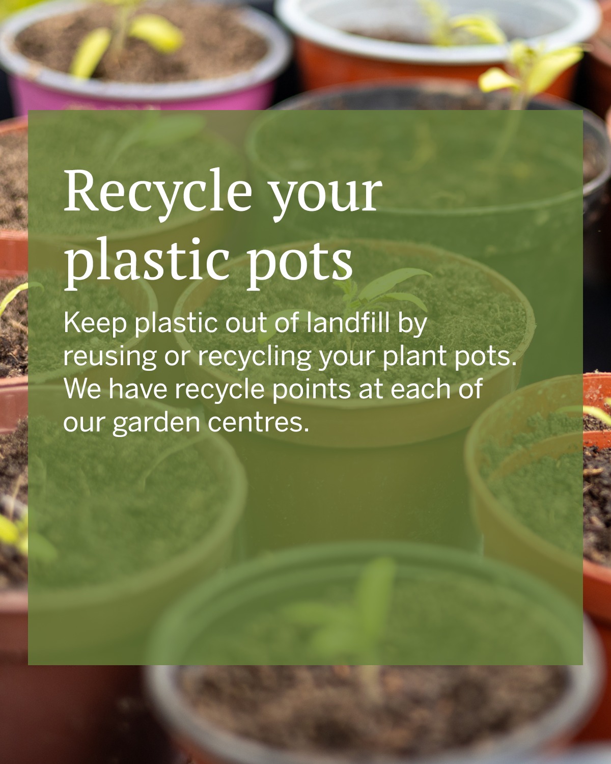 Are Plastic Garden Pots Recyclable: Eco-Friendly Insights