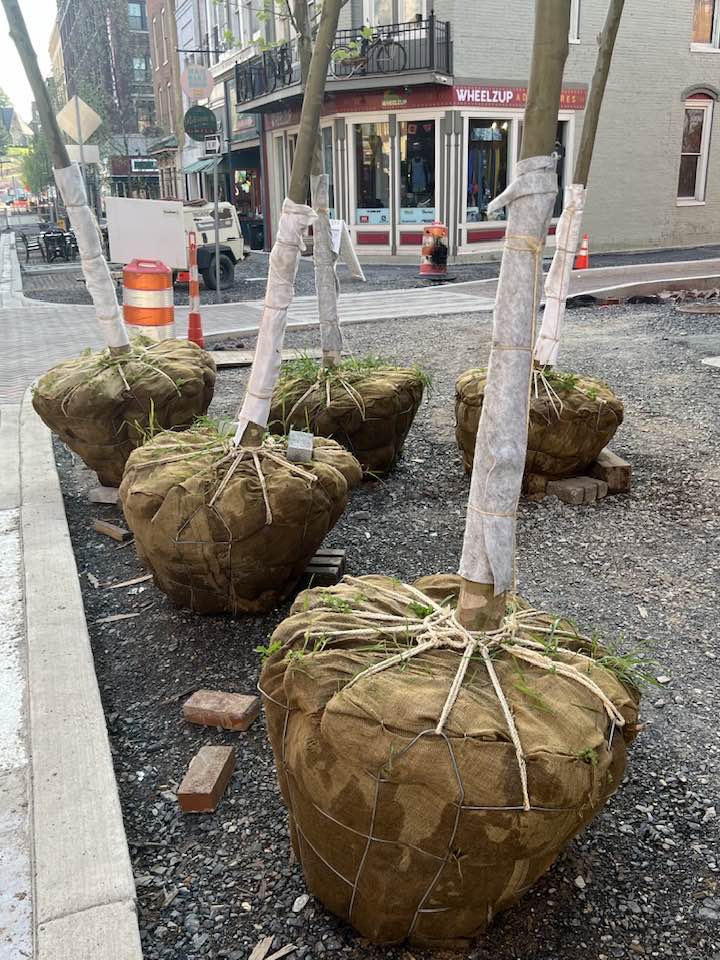 Image showcasing Downtown - 🌱💡 Building a Sustainable Future 💡🌱 Sustainability is at the ...