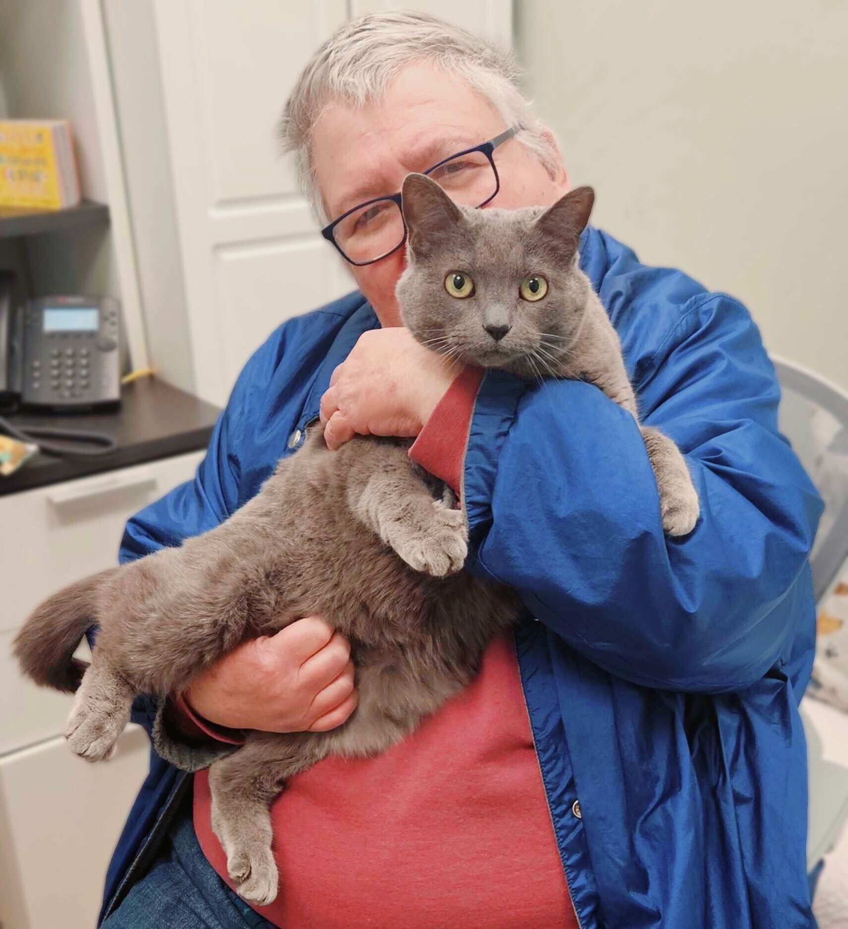 7-year-old Roxie is... - Young at Heart Senior Pet Adoptions | Facebook