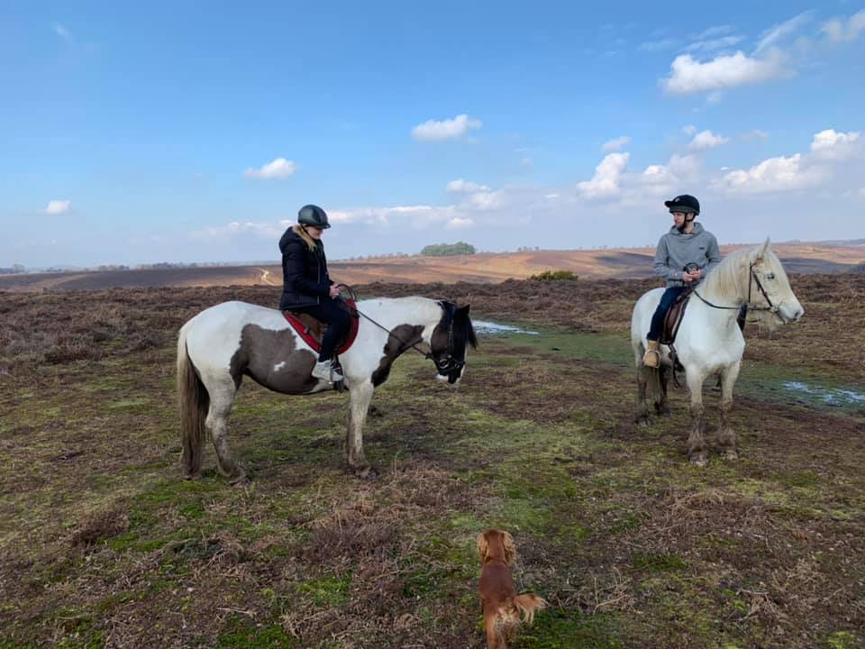 4 Seasons Forest Rides - Horse Riding & Pony Rides New Forest ...