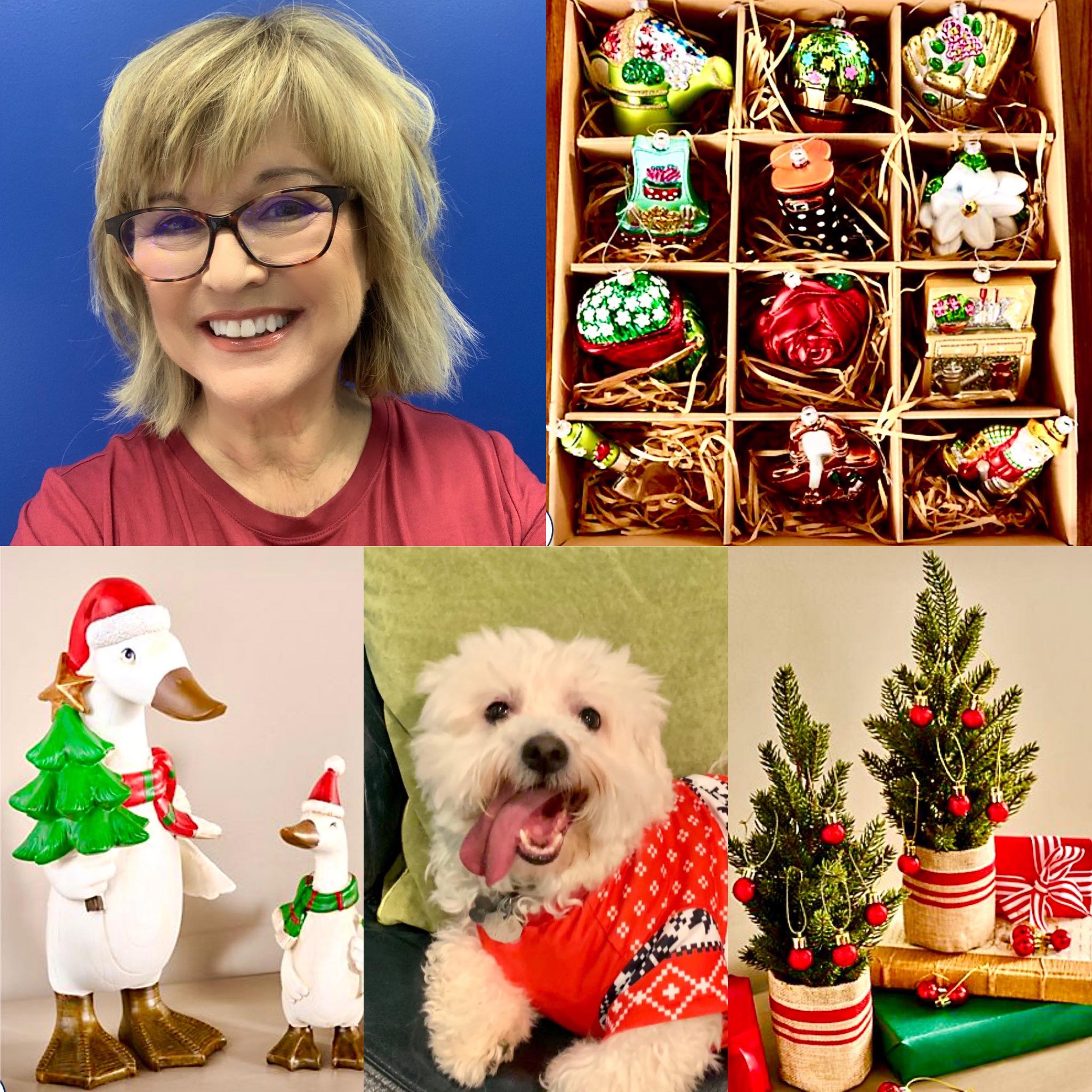 Carolyn - Good Morning Friends! I hope you’ll come join me for today’s ...