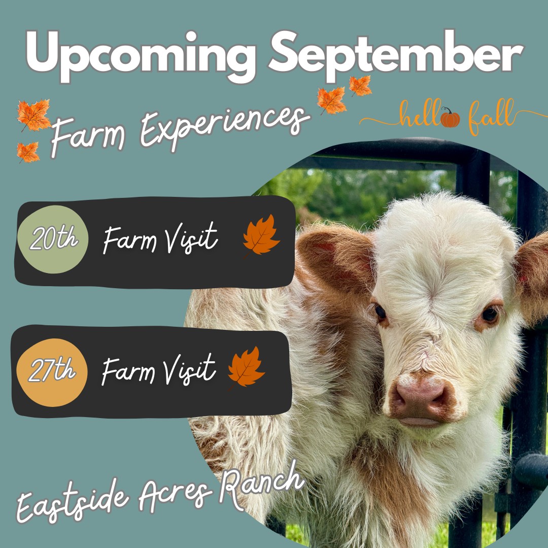 🍂🐐 Fall Fun is Coming Farm Visits... - Eastside Acres Ranch | Facebook