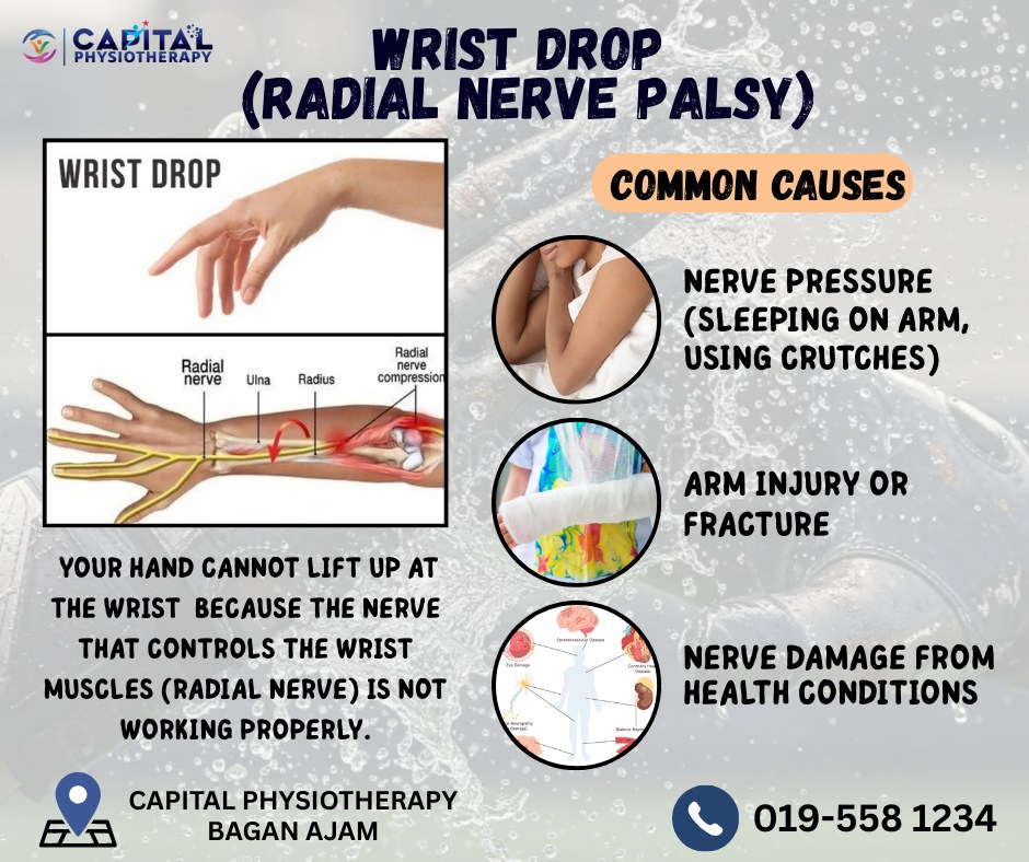 Capital Physio