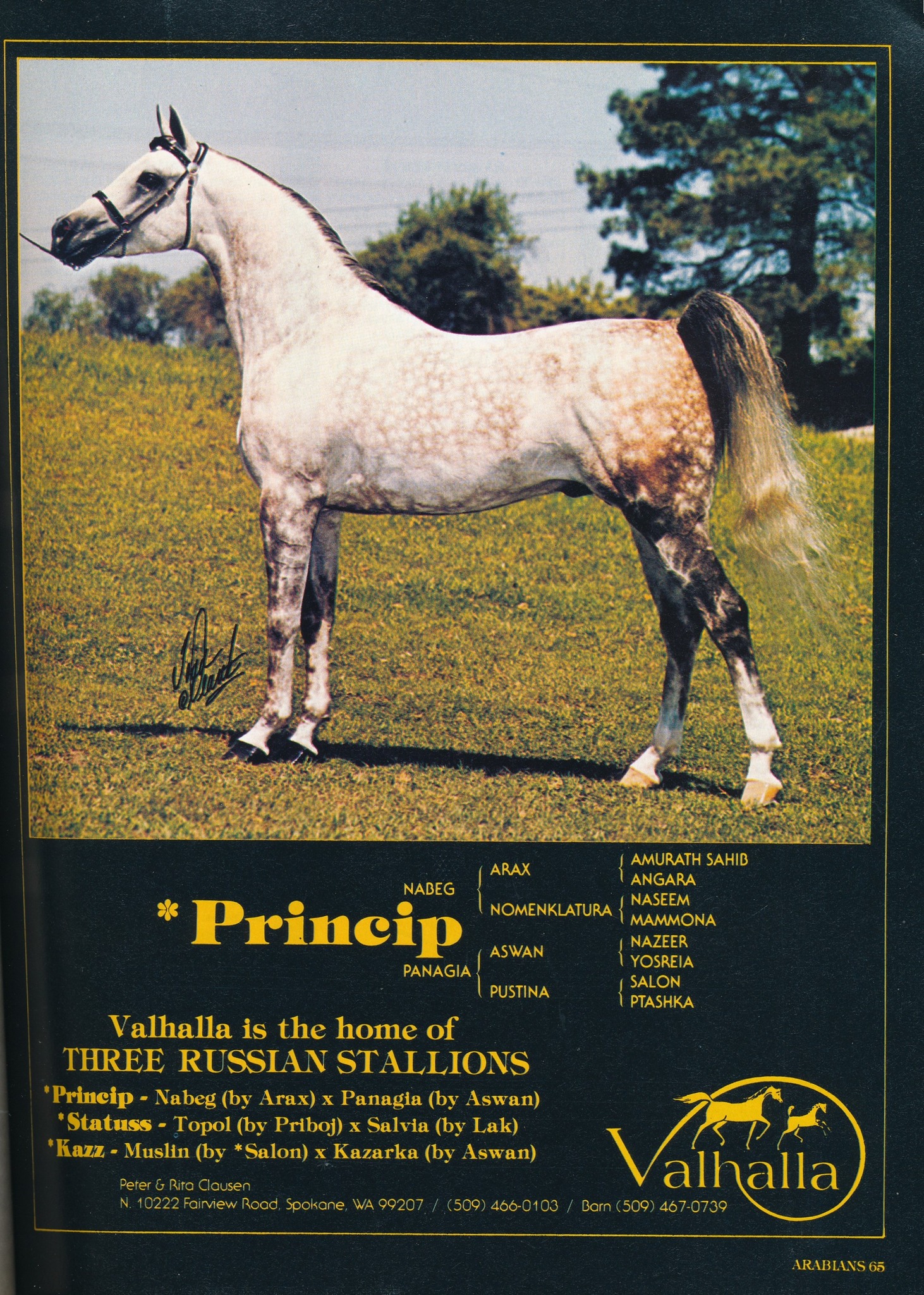 Valhalla stands imported Russian stallions in 1983