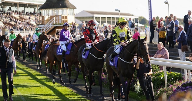 York Races - Our October Finale on Friday 7th & Saturday...