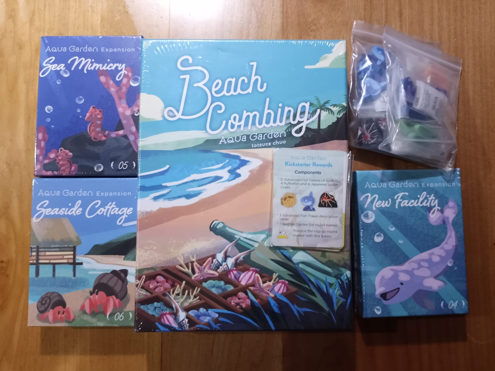 Aqua Garden board game experience with 4 players and beach board 