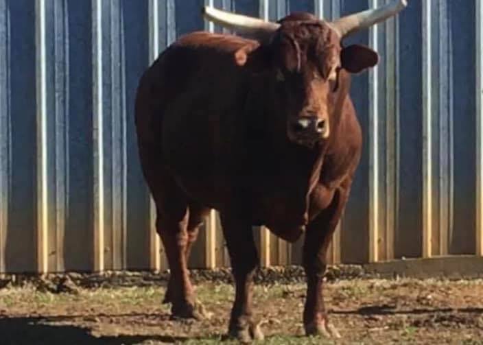 Rafter 7 Ranch - Rafter 7 Ranch added a new photo.