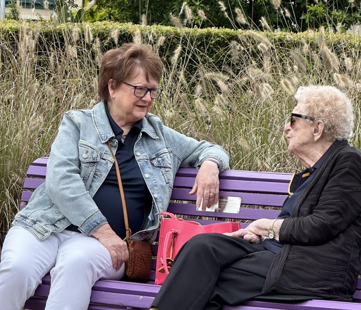 🌟 Purple Bench... - Soroptimist International Gold Coast Inc | Facebook