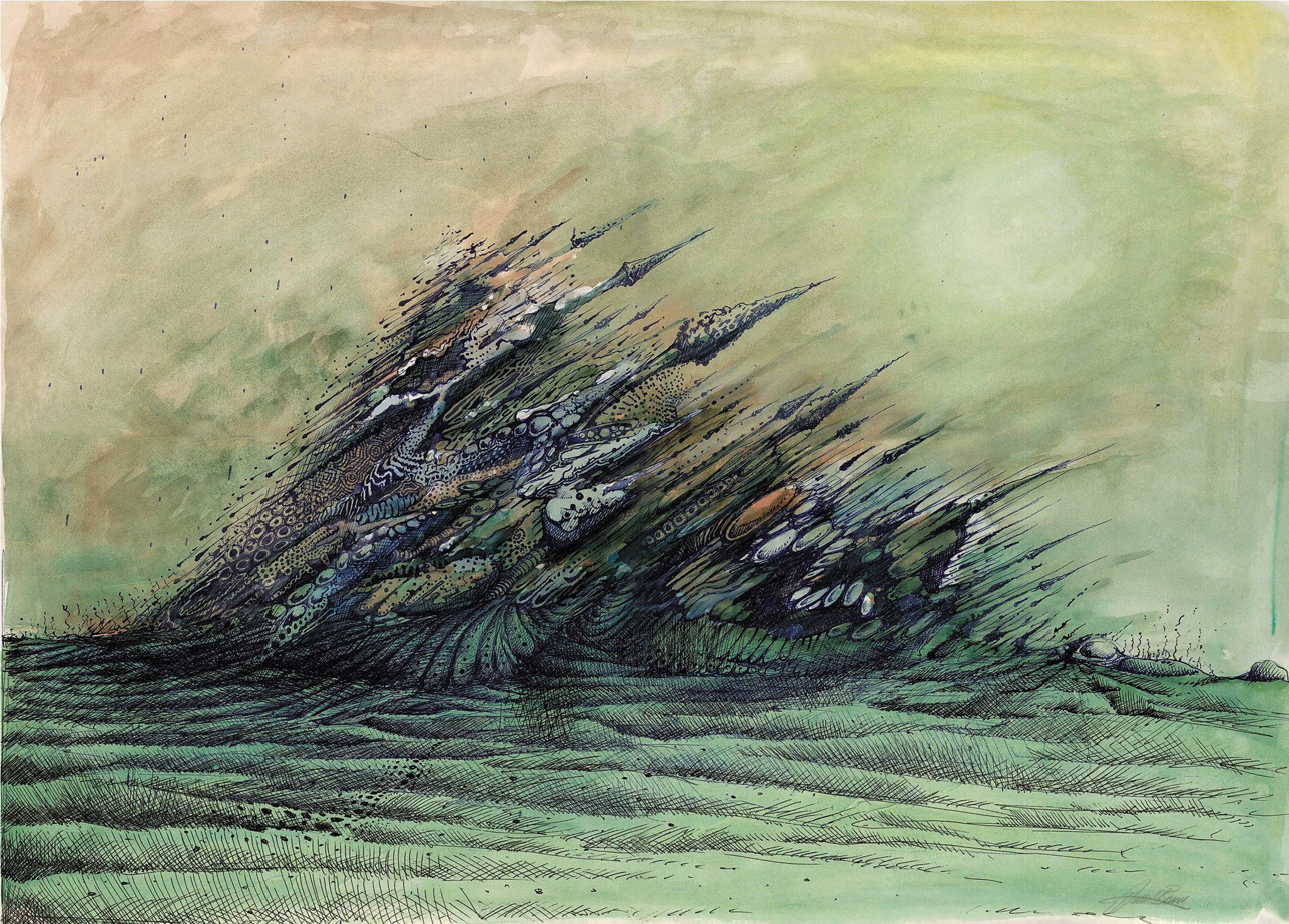Jason Bemis