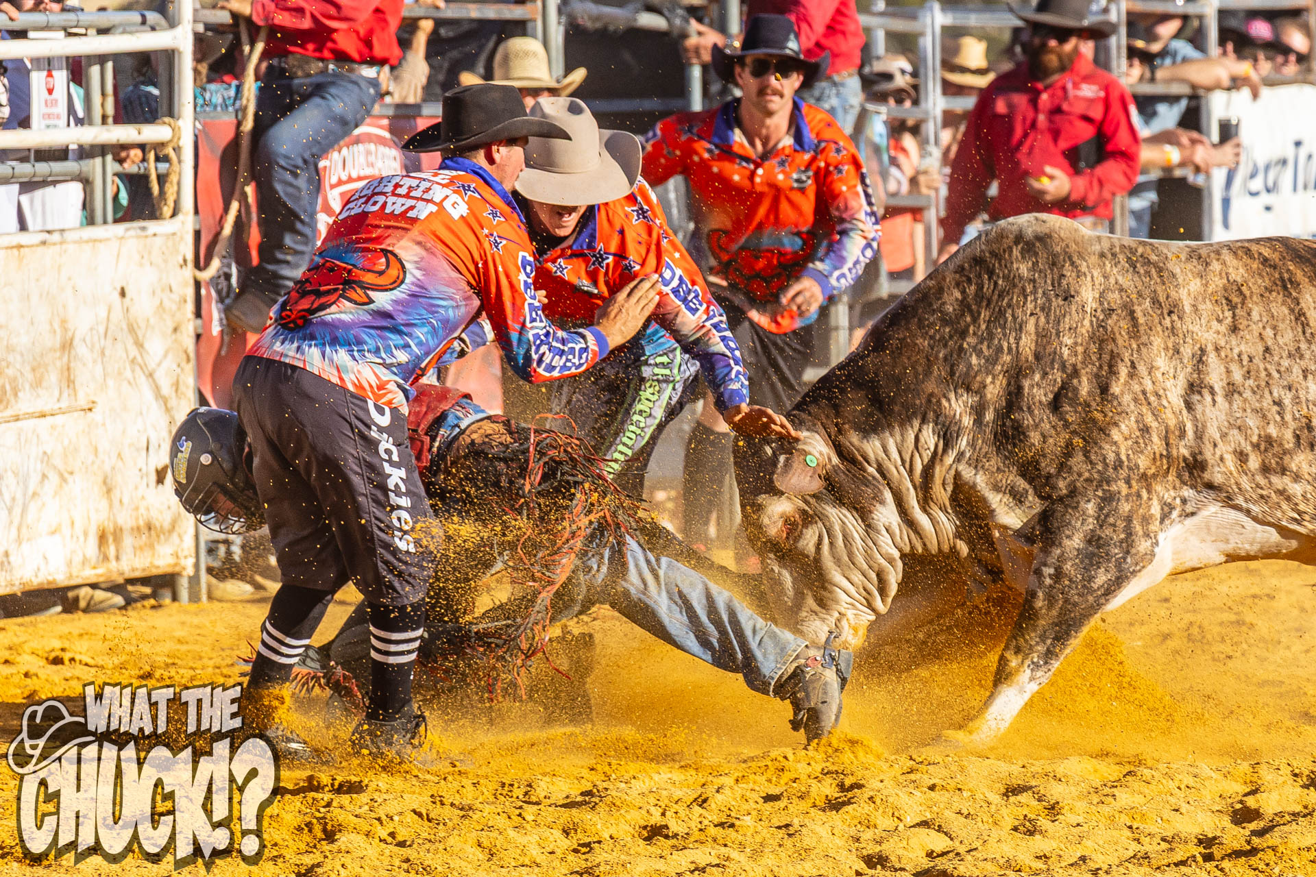 Toodyay Race Club | Toodyay WA