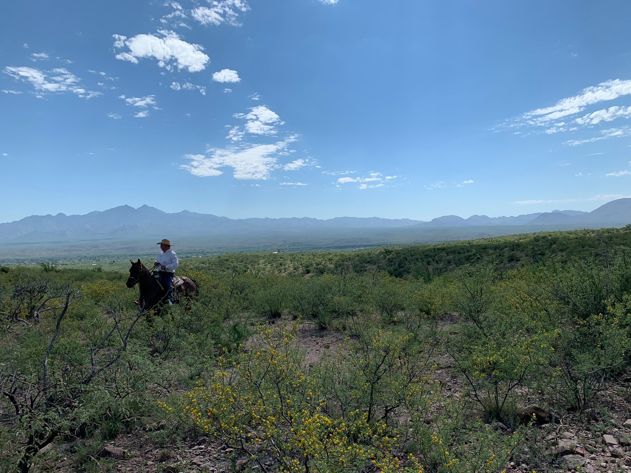 Kenyon Ranch