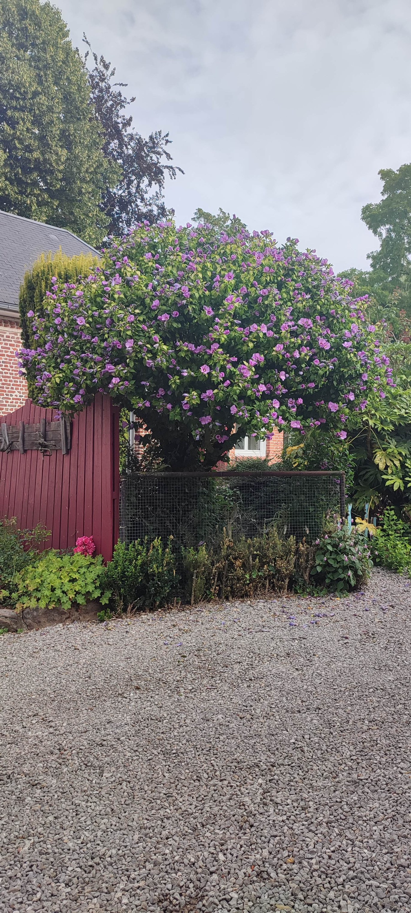 Au Jardin de Flojac