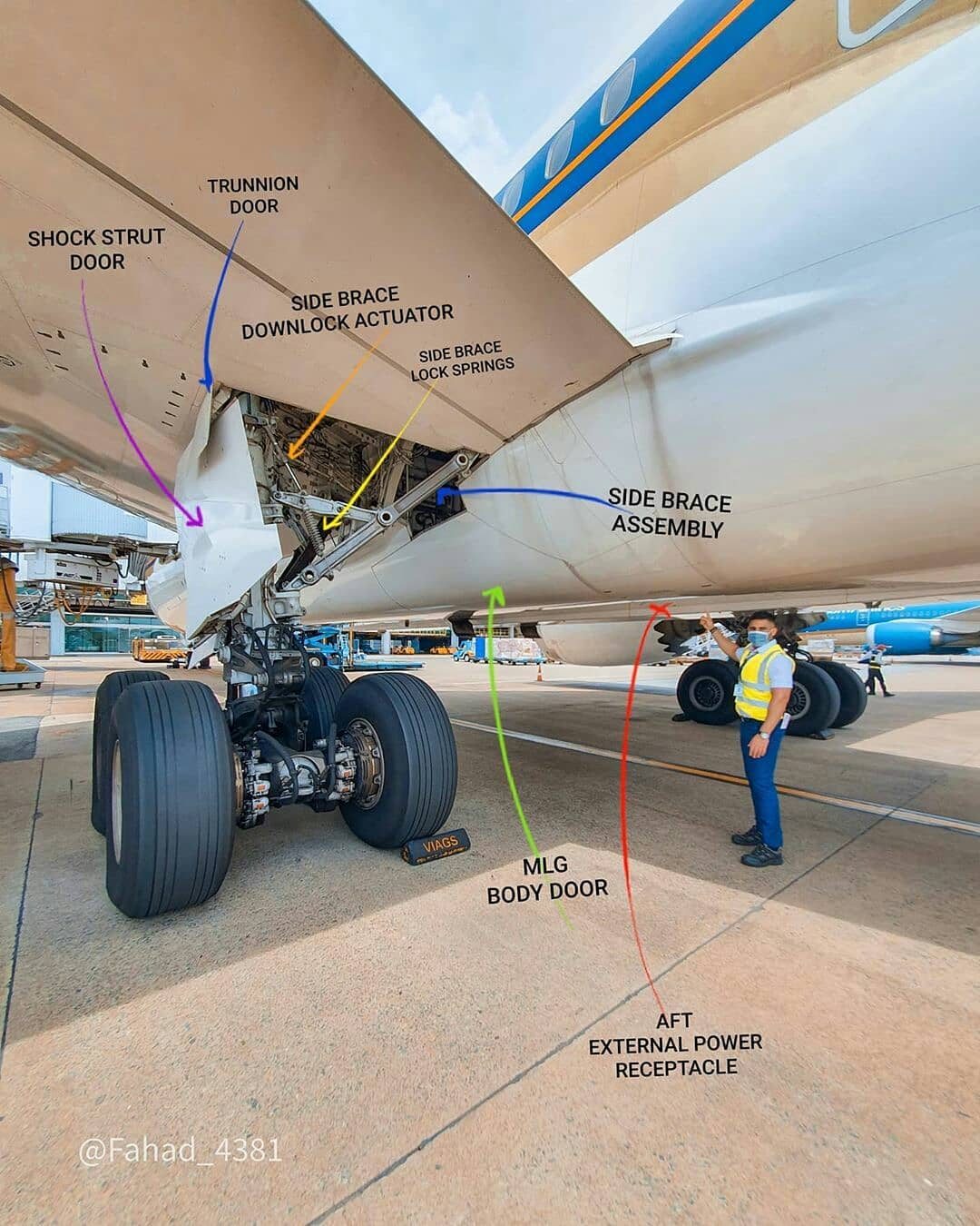 Aviation Study | [#B787](https://www.facebook.com/hashtag/b787 | Facebook