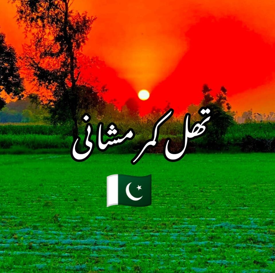 Thal Kamar mushani