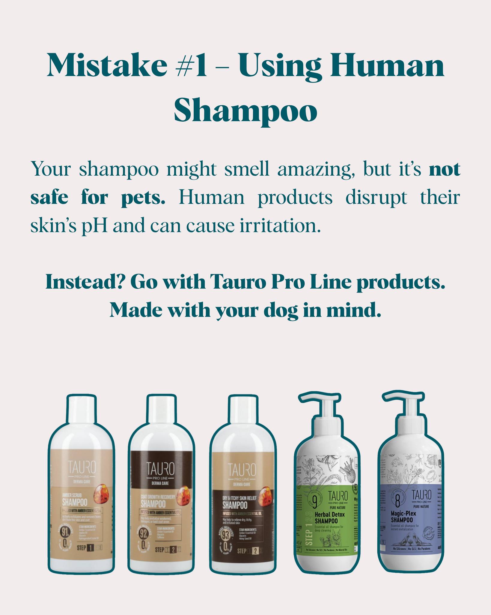 Can Human Shampoo Be Used for Dogs? Expert Insights