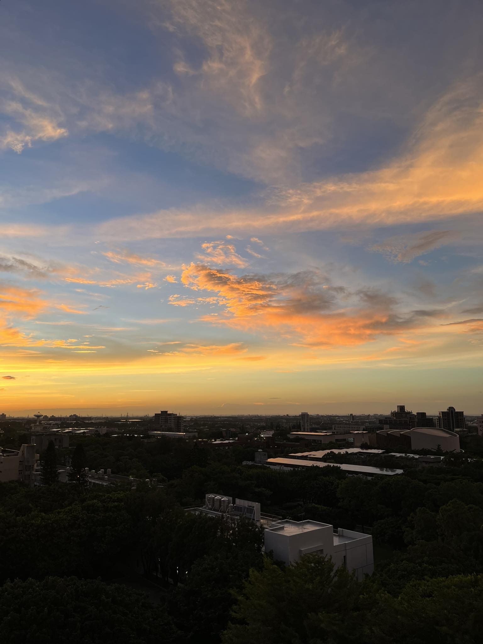 黃佩怡