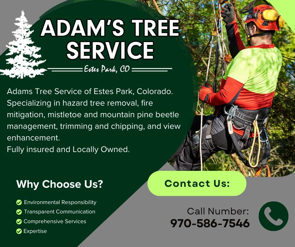 Adam's Tree Service | Estes Park CO