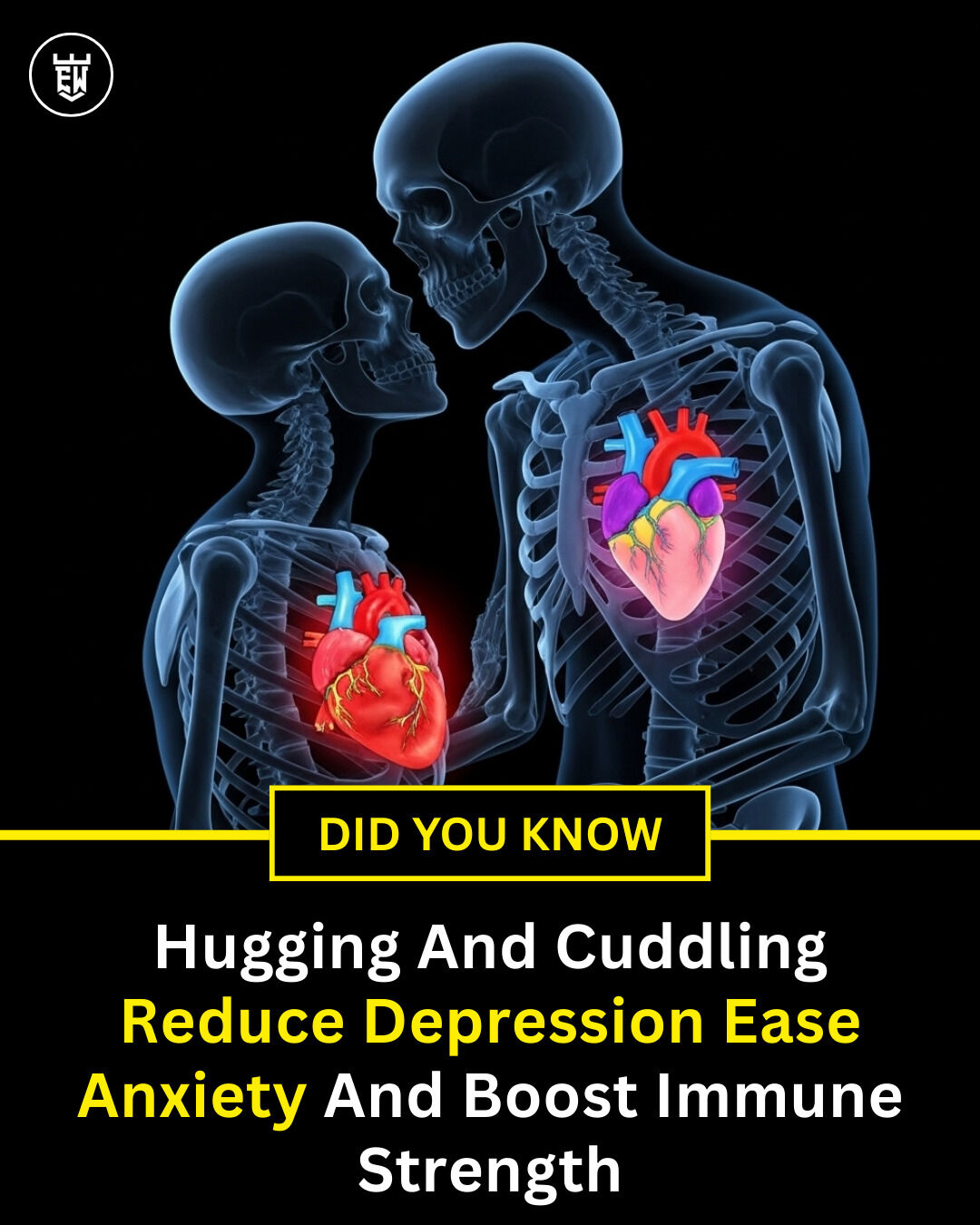 Explaining - Human touch is far more powerful than we often realize ...