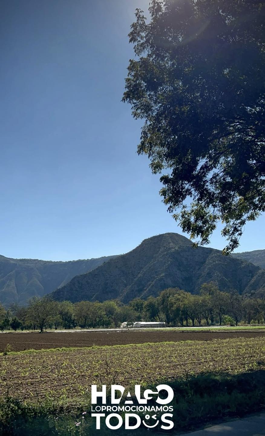 Hidalgo Travel - 🌿 San Miguel Almolón 🥑 Un verdadero...