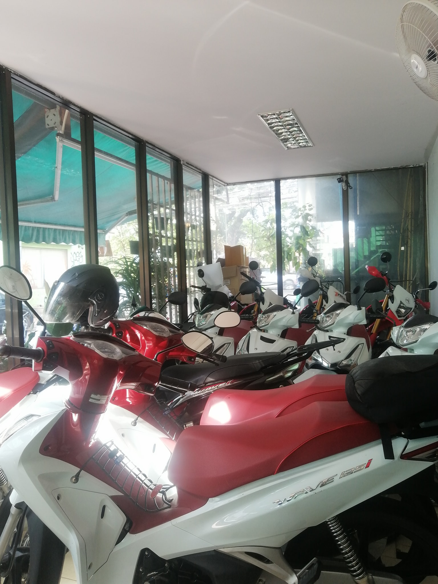 TL Motorbike and Car Rental | Vientiane