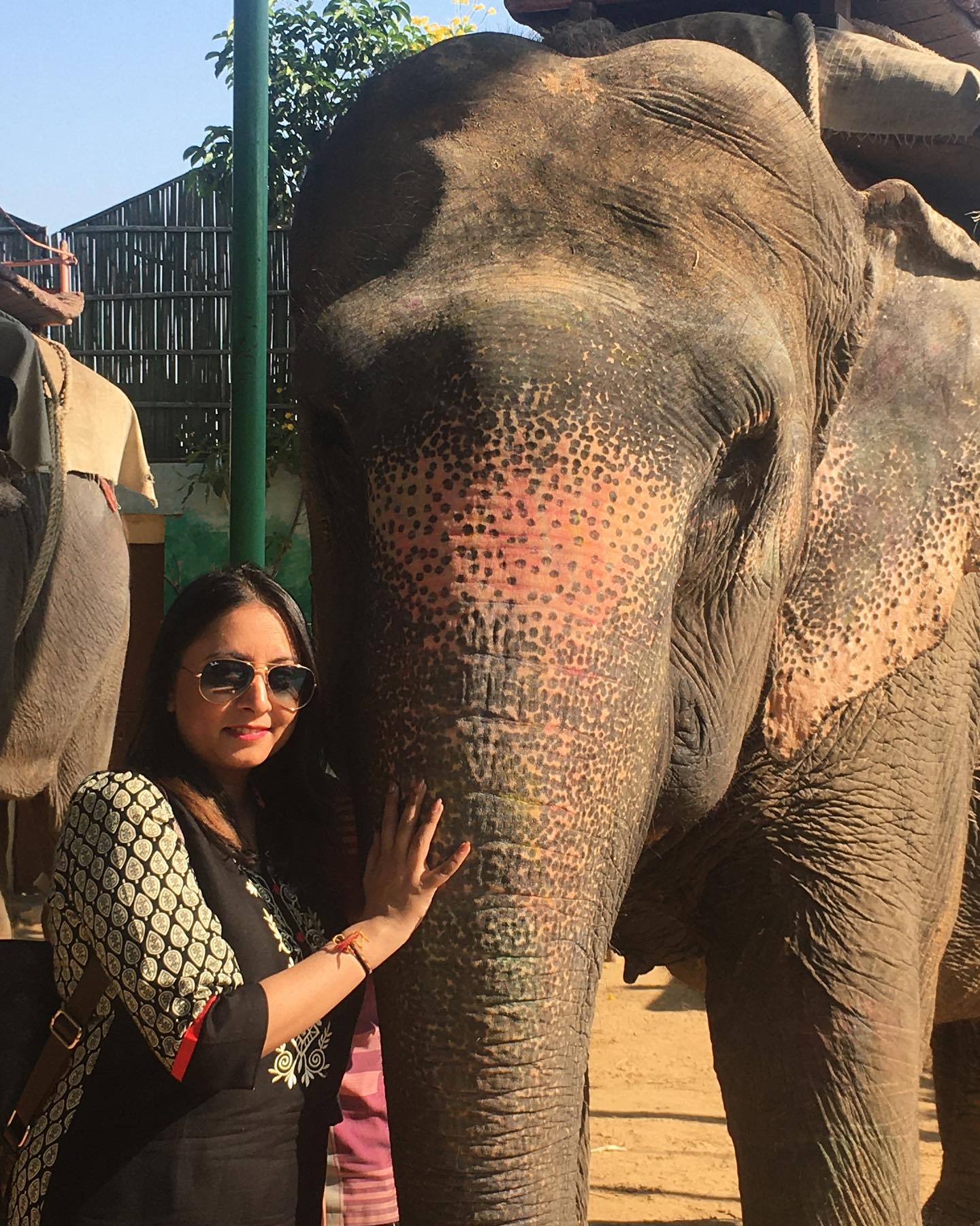 Miss Roshni - What an experience! Went to a Elephant Tour....