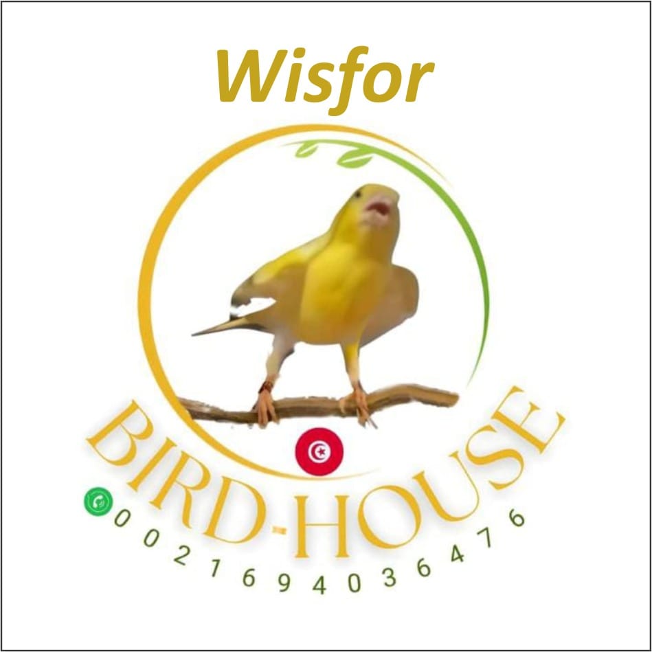 Bird-House | Mahdia - Bird House Endorsed Tour Operators
