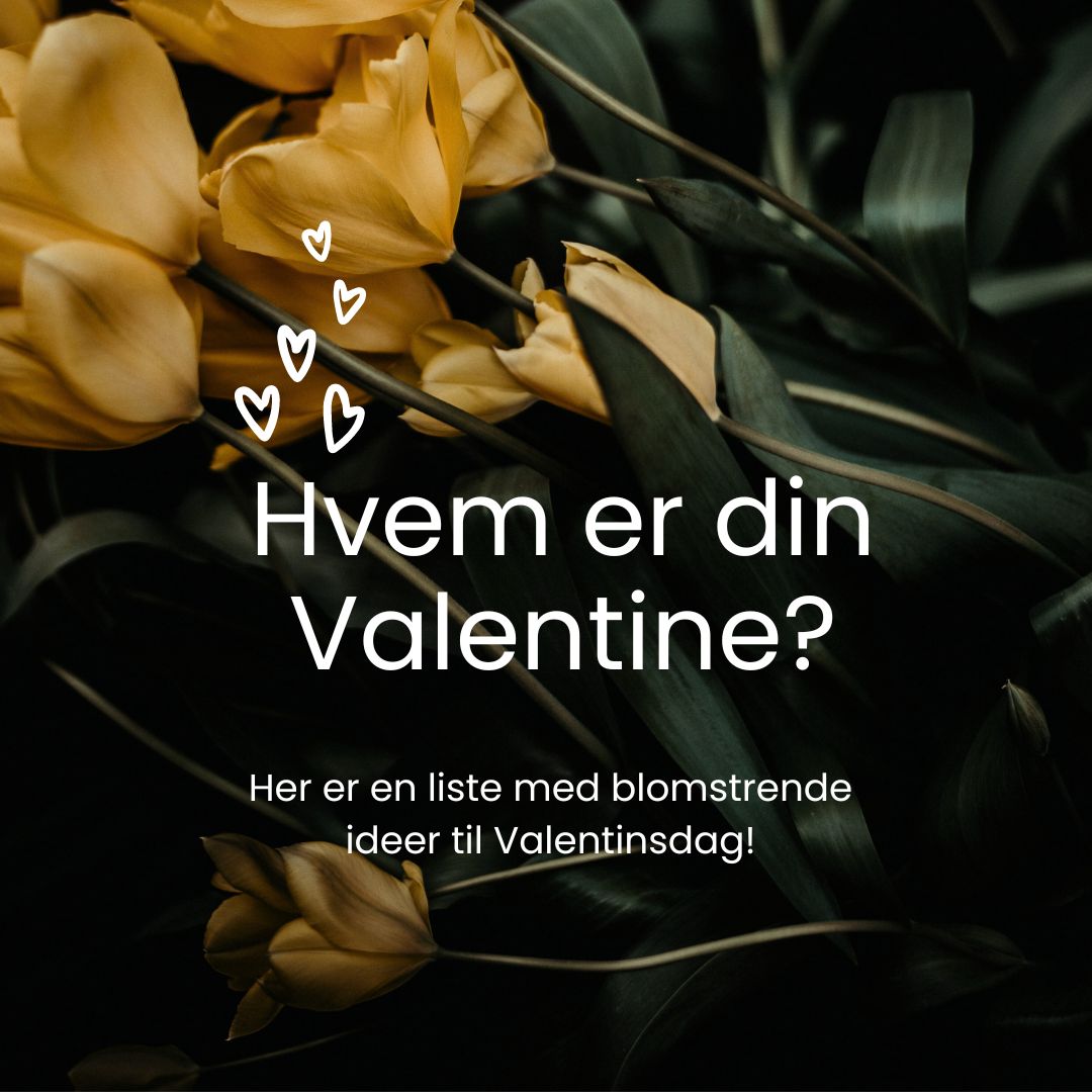 Gule - ️ Romantiske Roser: Klassikeren som aldri går av moten. Velg rød ...