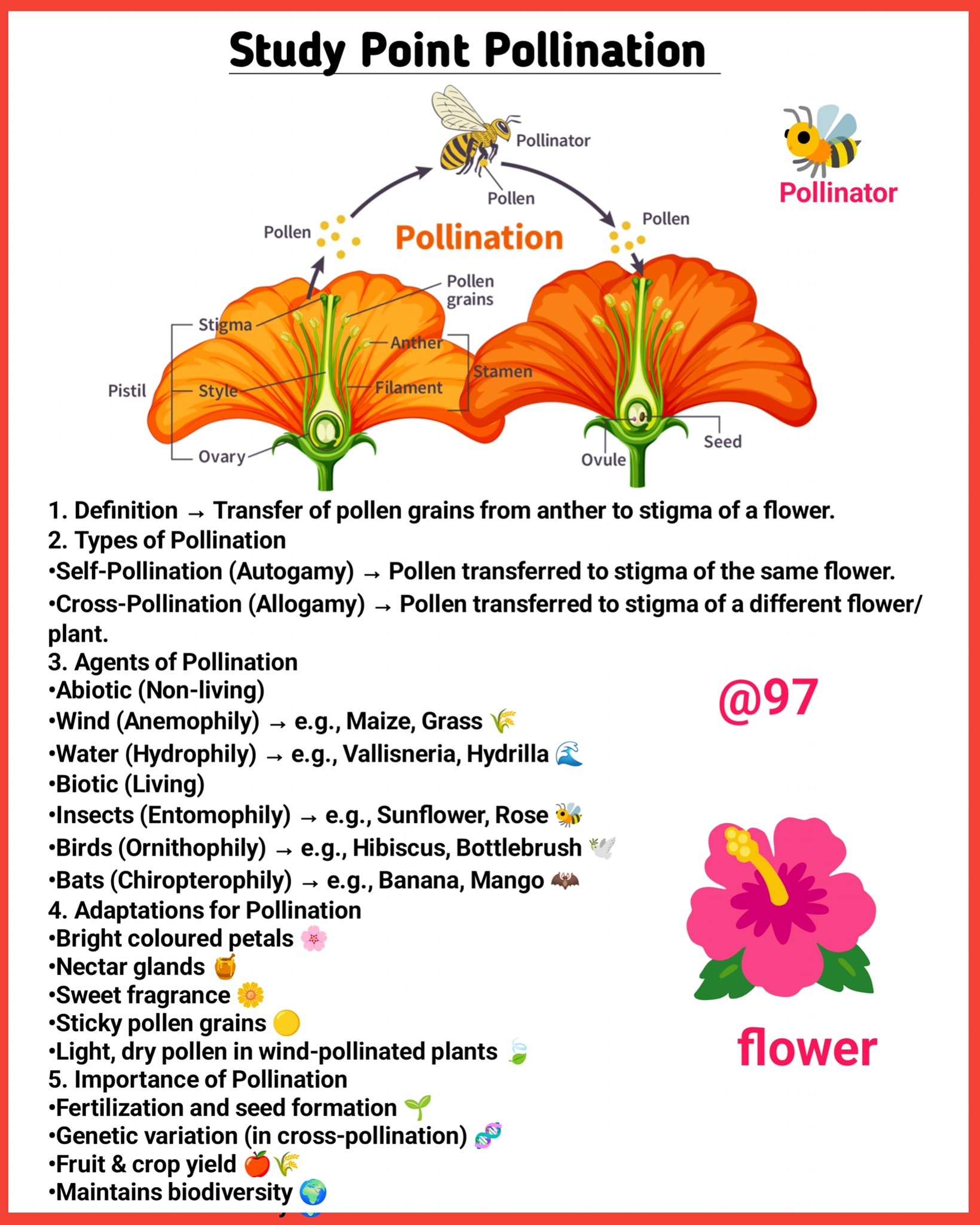 97 - Study Point Pollination 📙 #fbpost2025シ #science #studyabroad # ...