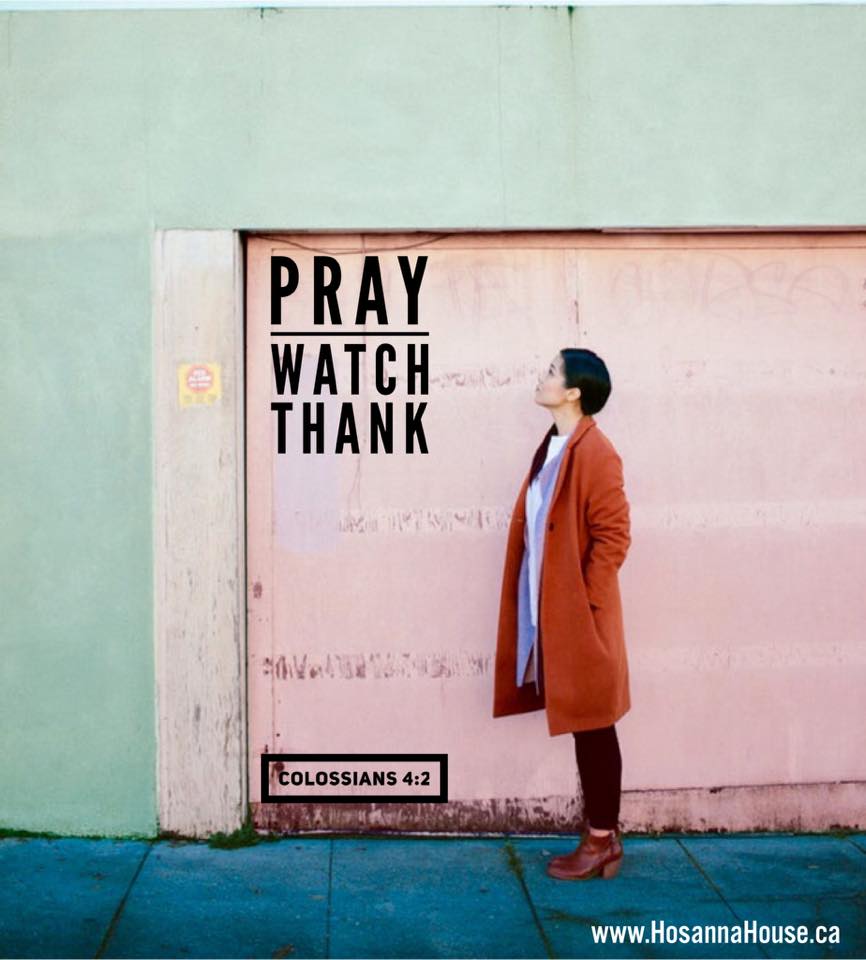 Hosanna - WATCHFUL WEDNESDAY 👓 “Are you praying and being WATCHFUL to ...