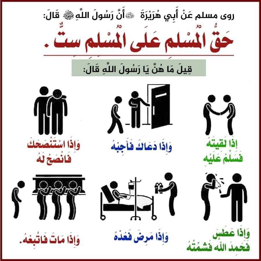 حق المسلم على المسلم أجمل ما قرأت في اللغة و الأدب 2 Facebook