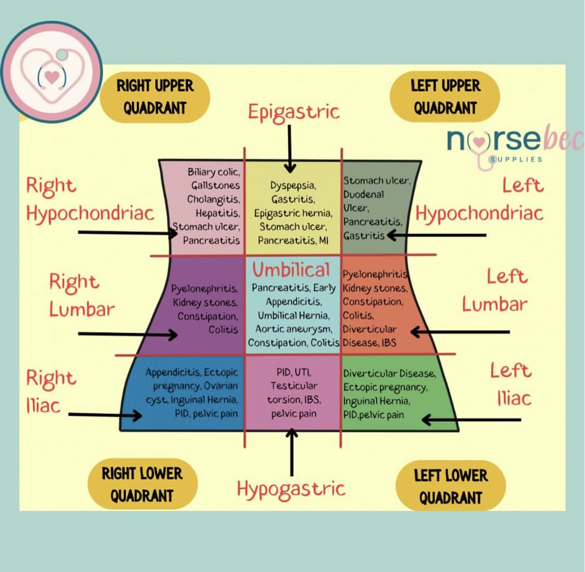 Nurse - Abdominal pain referral areas…. A rough guide. For nursing ...