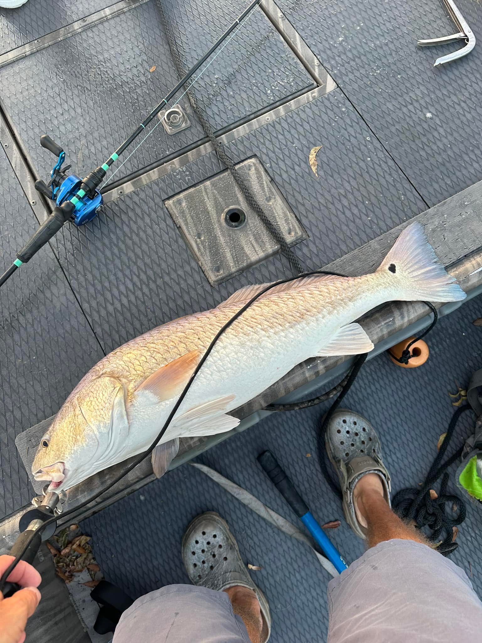 Marsh Rat Fishing Rods | Alvin TX
