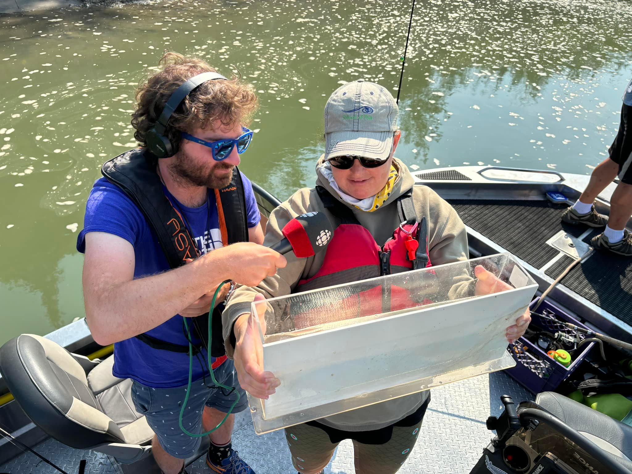 Northern Lights Fly Fishers | Edmonton AB