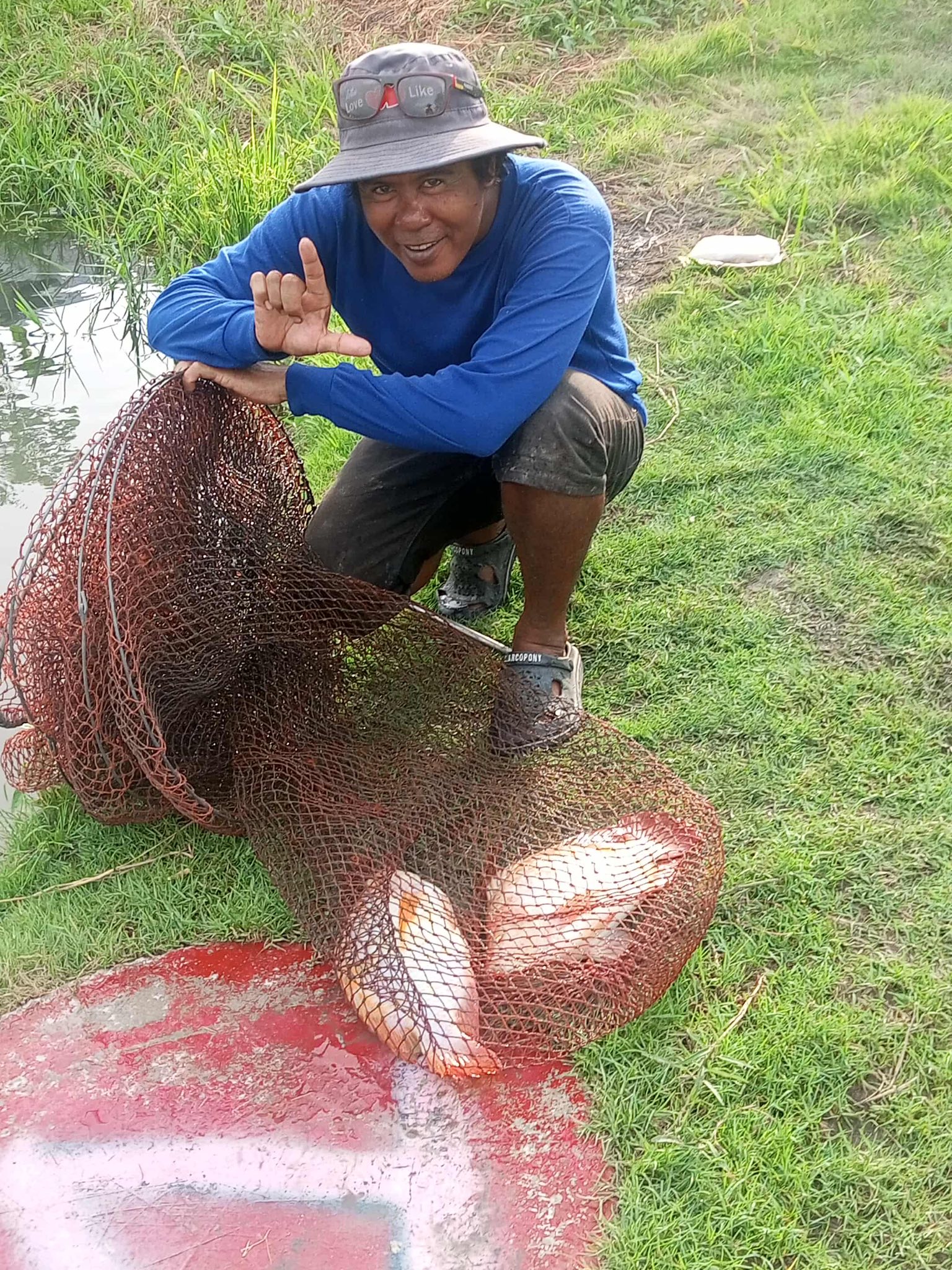 MAYYA Fishing & cafe | Amphoe Lam Luk Ka
