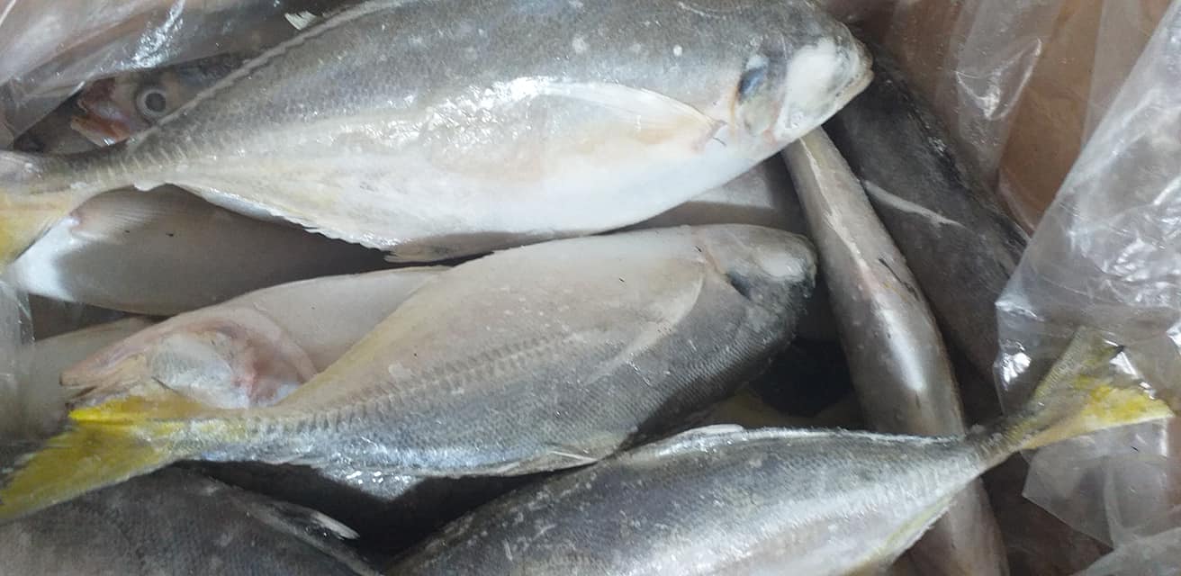 Huzaifa International sea Foods Products