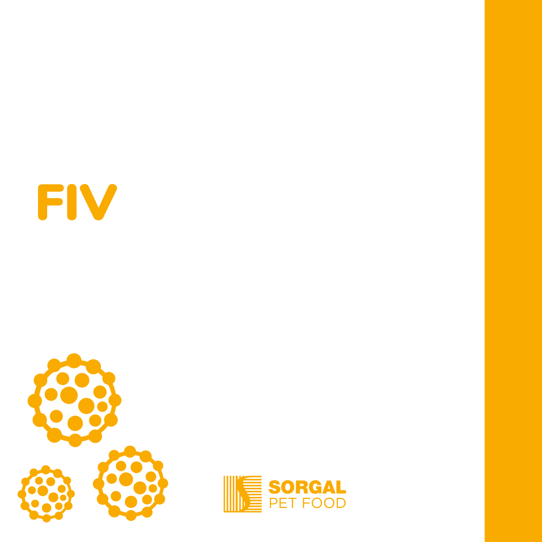 Sorgal Pet Food - Conhecida como o VIH Felino, a...